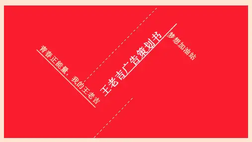 王老吉广告策划书(完整)