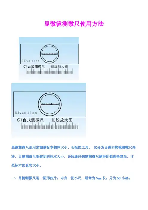 显微镜测微尺使用和计算方法