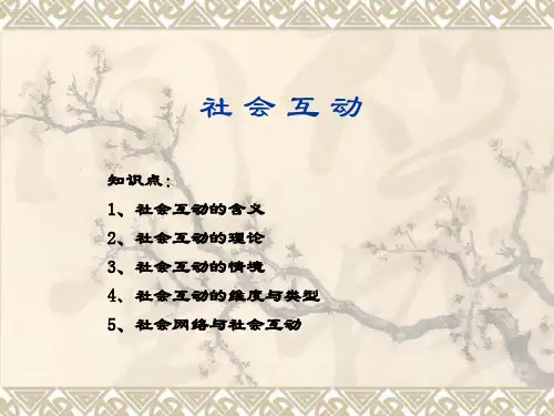 4-2社会互动含义与理论
