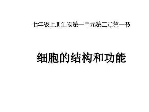 济南版七年级生物上册1.2.1细胞的结构和功能(22张PPT)
