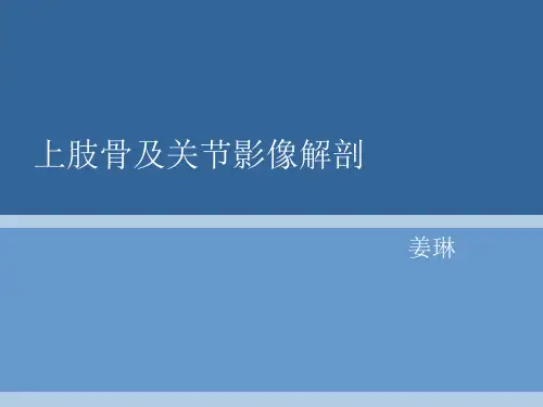 骨关节影像解剖