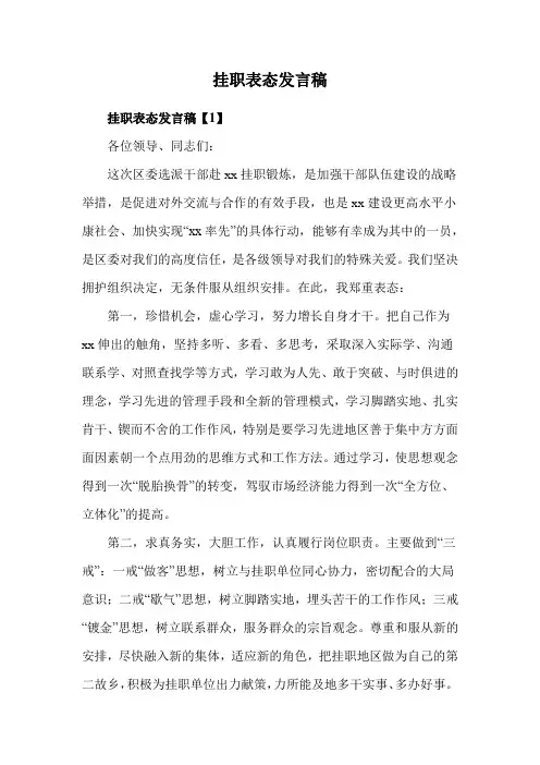 挂职表态发言稿