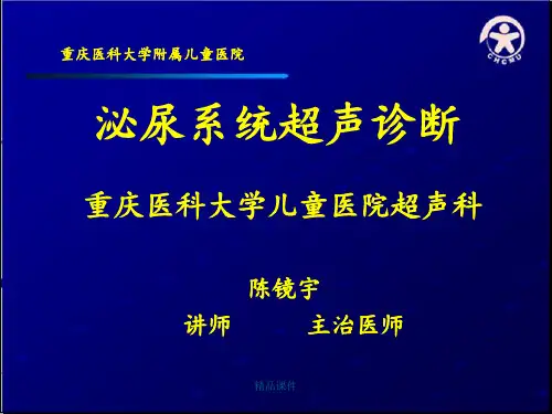 16、泌尿系统超声诊断(镜宇2014)(1)