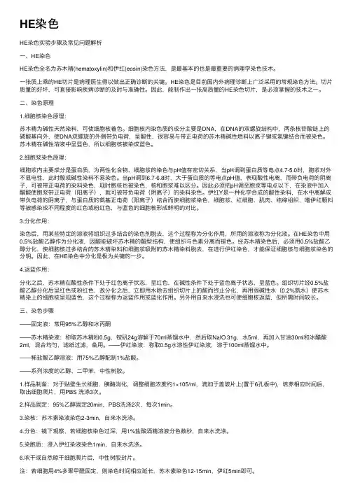 HE染色——精选推荐