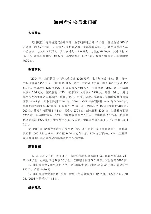 海南省定安县龙门镇介绍