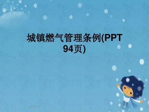 城镇燃气管理条例(PPT 94页)