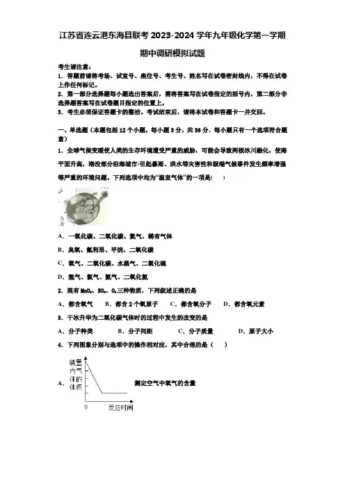 江苏省连云港东海县联考2023-2024学年九年级化学第一学期期中调研模拟试题含解析