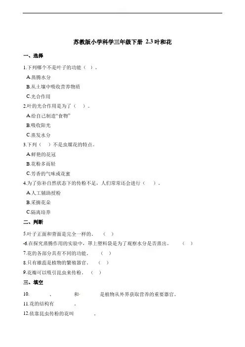 三年级下册科学一课一练- 2.3叶和花   苏教版(含解析)