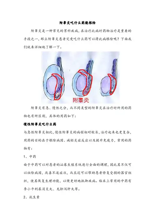 附睾炎吃什么药能根除