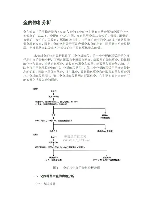 金的物相分析