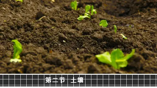 人教版(2019)高中地理必修一5.2 土壤(共49张PPT)