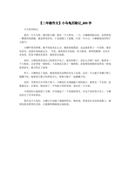 【二年级作文】小乌龟历险记_600字