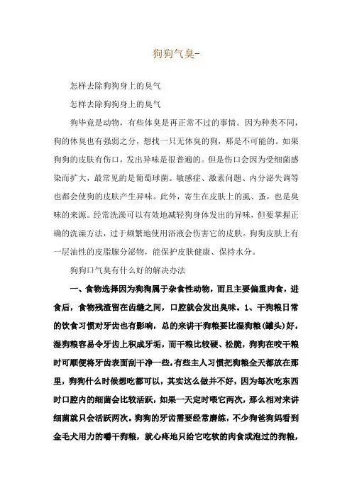 狗狗气臭--怎样去除狗狗身上的臭气