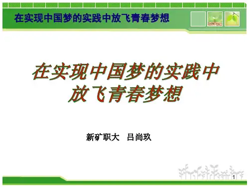 在实现中国梦的实践中放飞青春梦想