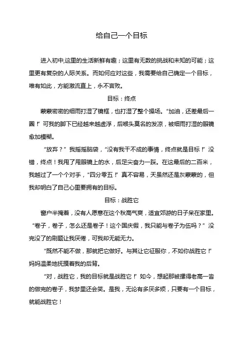 给自己一个目标(七年级作文800字)
