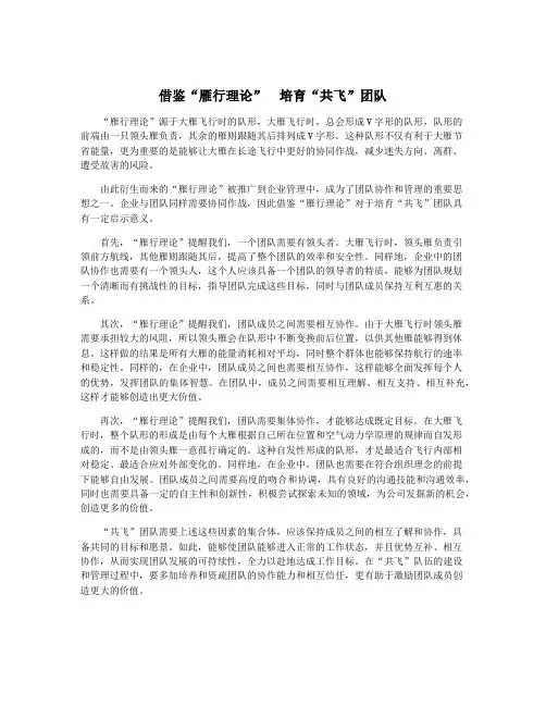 借鉴“雁行理论” 培育“共飞”团队