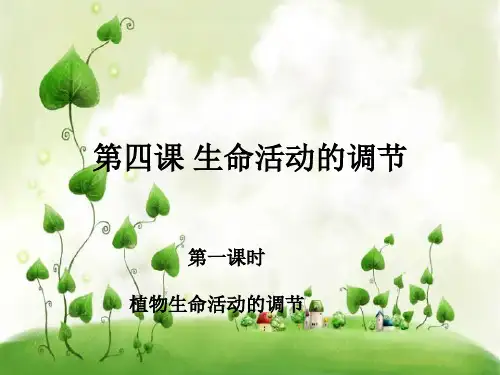 生命活动的调节PPT教学课件