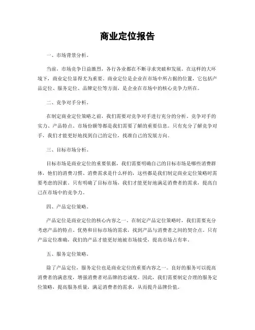 商业定位报告
