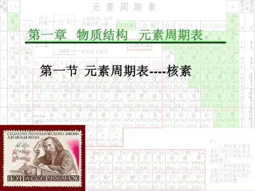 核素