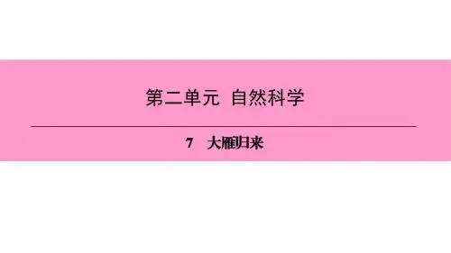 2018新人教版(部编)八年级语文下册课件：第2单元  7大雁归来