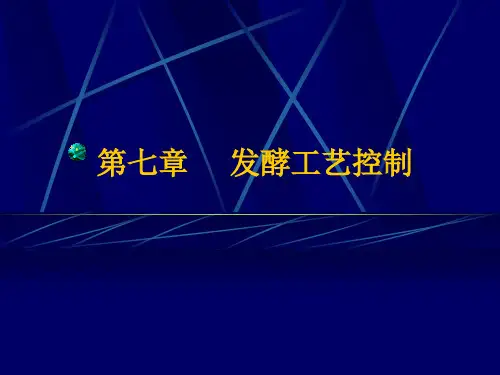 发酵工艺控制培训课程.pptx