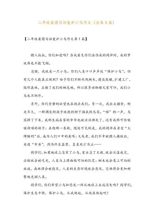 二年级看图写话爱护小鸟作文(合集3篇) 2