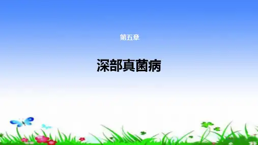 念珠菌病汇总