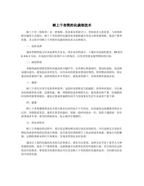 树上干杏简约化栽培技术 2