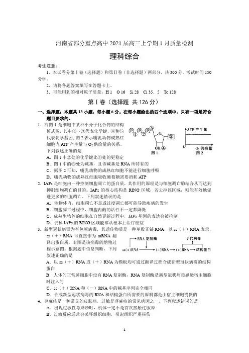 河南省部分重点高中2021届高三上学期1月质量检测理综试卷