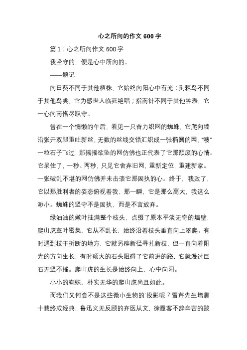 心之所向的作文600字