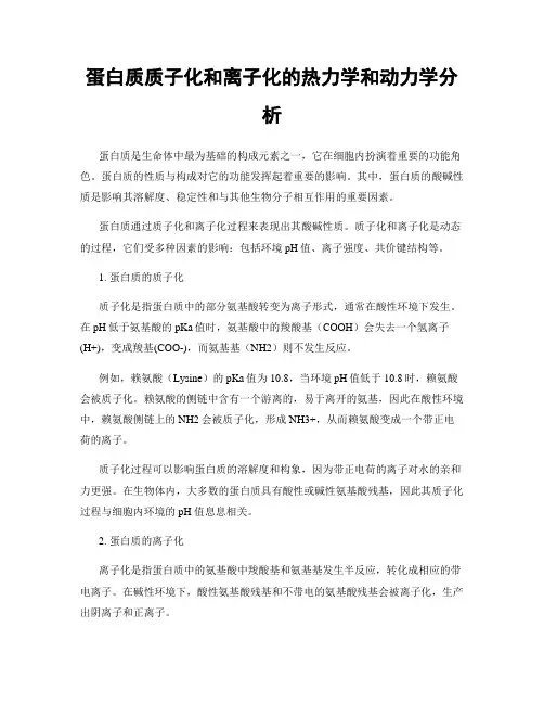 蛋白质质子化和离子化的热力学和动力学分析