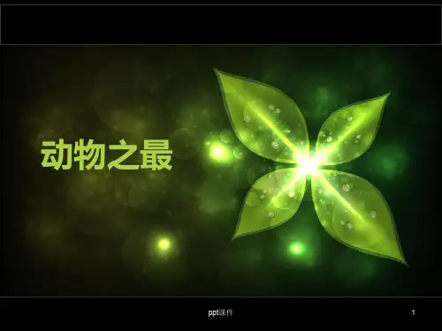 大班科学动物之最  ppt课件