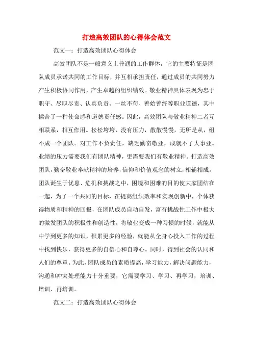 打造高效团队的心得体会范文