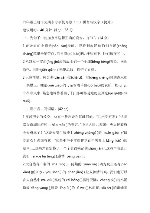 统编版六年级上册语文期末专项复习卷(二)拼音与汉字(提升)(含答案)