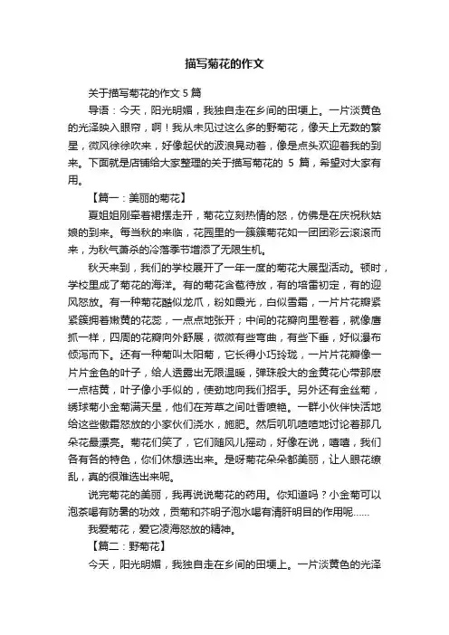 关于描写菊花的作文5篇