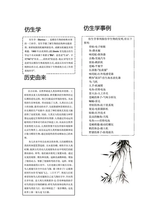 仿生学2