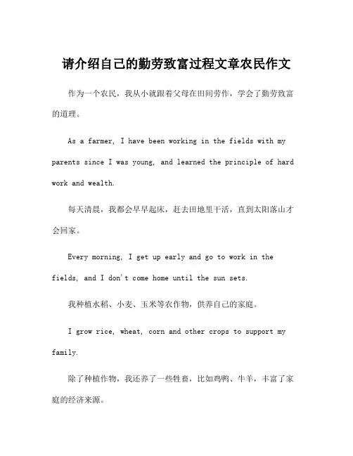 请介绍自己的勤劳致富过程文章农民作文