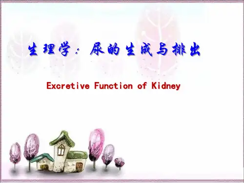 《生理学：泌尿系统》