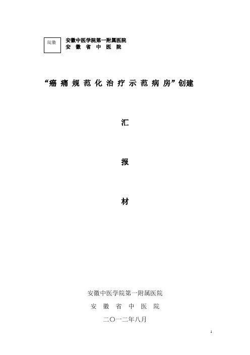 癌痛示范病房汇报材料