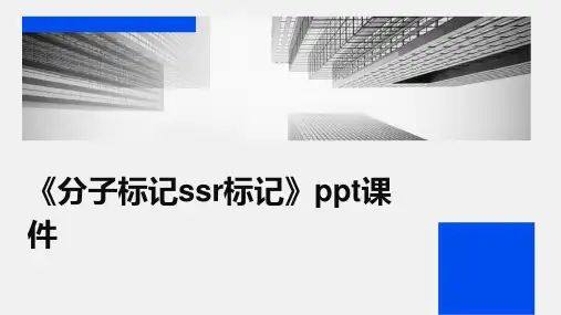 《分子标记SSR标记》课件