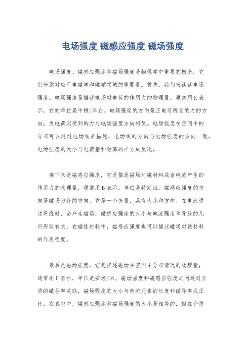 电场强度 磁感应强度 磁场强度