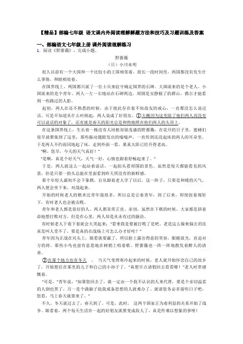 【精品】部编七年级 语文课内外阅读理解解题方法和技巧及习题训练及答案