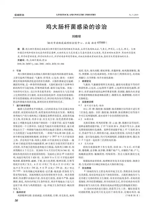 鸡大肠杆菌感染的诊治
