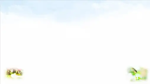 部编版ppt-《珍珠鸟》课堂课件1