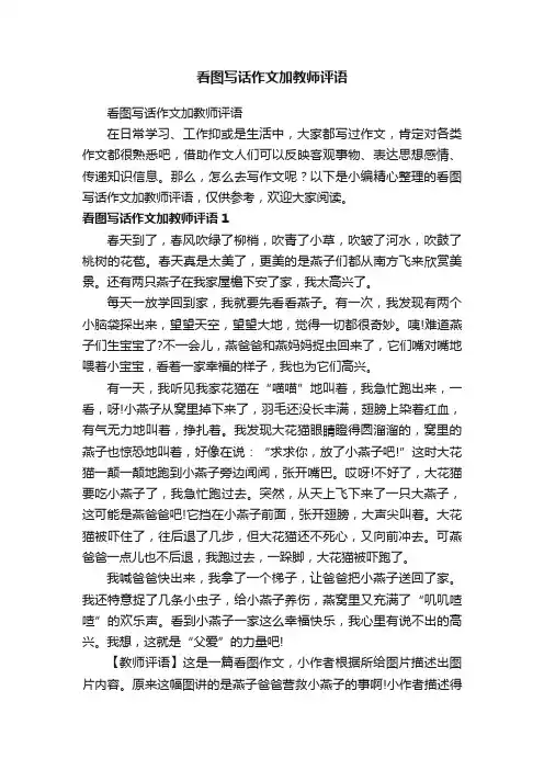 看图写话作文加教师评语