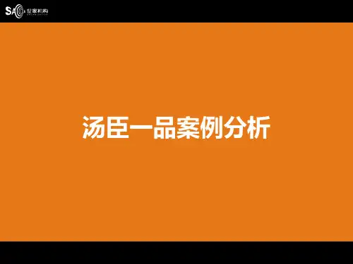 汤臣一品案例分析