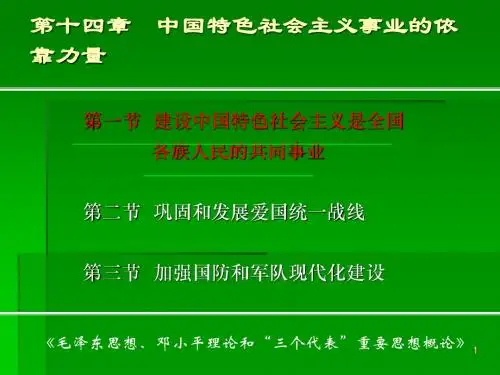 毛概 14第十四章