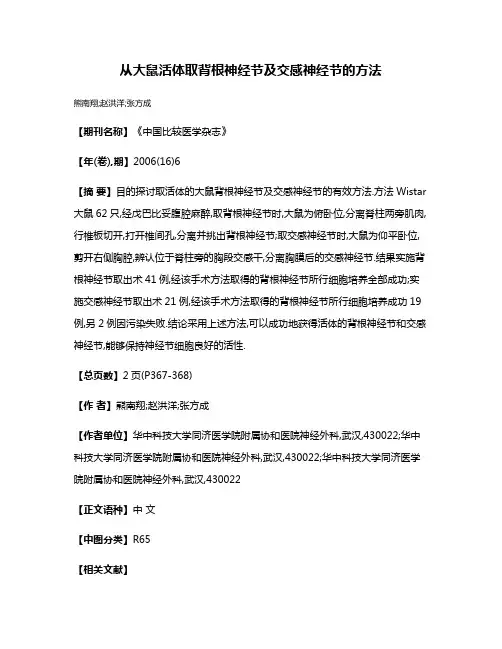 从大鼠活体取背根神经节及交感神经节的方法