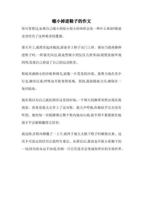 缩小掉进鞋子的作文