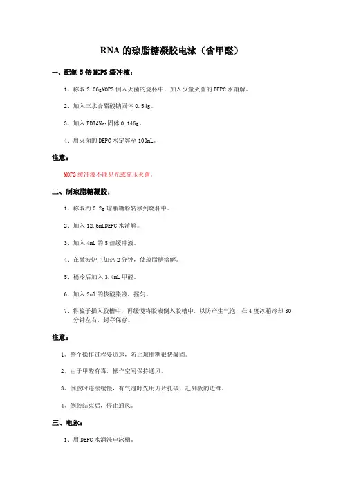 RNA的琼脂糖凝胶电泳(含甲醛)